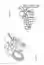 Fig. 08 - Transmission assembly for a self-propelled machine, of the type that can be positioned between the primary motor shaft and the wheels of said machine