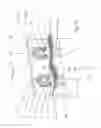 Fig. 02 - LED light