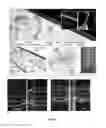Fig. 03 - DEVICE FOR INVESTIGATION OF A FLOW CONDUIT
