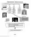 Fig. 10 - Method and apparatus for tracking cell identity