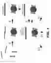 Fig. 02 - Molecular biosensors capable of signal amplification
