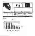 Fig. 02 - NANOMATERIAL-INDUCED CYTOTOXICITY DETECTION COMPOSITION AND KIT, AND NANOMATERIAL-INDUCED CYTOTOXICITY DETECTION METHOD