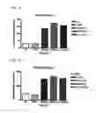 Fig. 08 - NANOMATERIAL-INDUCED CYTOTOXICITY DETECTION COMPOSITION AND KIT, AND NANOMATERIAL-INDUCED CYTOTOXICITY DETECTION METHOD