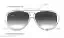 Fig. 01 - Method and apparatus for forming sunglass lenses with a predetermined gradient