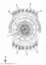 Fig. 05 - FIBER OPTIC CLOSURE