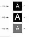Fig. 09 - Image processing apparatus and image processing method that increase a width of a line constituting a white character in image data in a printing color saving mode