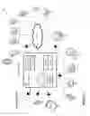 Fig. 02 - SYSTEMS AND METHODS FOR AUTOMATED REPATRIATION OF A PATIENT FROM AN OUT-OF-NETWORK ADMITTING HOSPITAL TO AN IN-NETWORK DESTINATION HOSPITAL