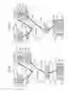 Fig. 07 - Content protection