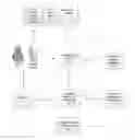 Fig. 01 - Customer token preferences interface
