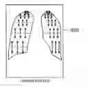 Fig. 01 - Image processing device, imaging system, and image processing program