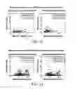 Fig. 08 - Template-less method for arbitrary radiopaque object tracking in dynamic imaging
