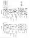 Fig. 09 - SYSTEM FOR IDENTIFYING ORIENTATIONS OF AN INDIVIDUAL