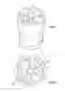 Fig. 06 - Safe geometry vacuum design
