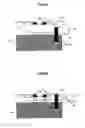 Fig. 07 - Sample storage container, charged particle beam apparatus, and image acquiring method