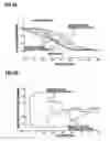 Fig. 06 - Polishing apparatus and polishing method