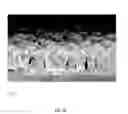 Fig. 08 - Three-dimensional conductive electrode for solar cell