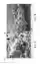 Fig. 08 - Methods and apparatuses for polymer fibrillization under electric field