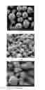 Fig. 02 - Modified lithium ion battery anode material having high energy density, and manufacturing method thereof