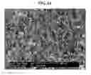 Fig. 02 - Carbon felt impregnated with inorganic particles and method for producing the same