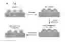 Fig. 01 - Preparing method of alloy catalyst using polydopamine coating and alloy catalyst thereby