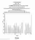 Fig. 08 - Digital extraction and correction of the linearity of a residue amplifier in a pipeline ADC