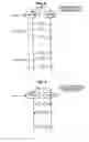 Fig. 06 - Authentication device, authentication method, and program