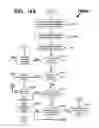 Fig. 22 - RANKING, COLLECTION, ORGANIZATION, AND MANAGEMENT OF NON-SUBSCRIPTION ELECTRONIC MESSAGES