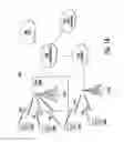 Fig. 02 - Method and apparatus for identification and transfer in internet protocol multimedia subsystem collaborative sessions