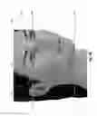 Fig. 06 - PROVIDING A FRAME OF REFERENCE FOR IMAGES