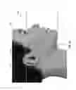 Fig. 07 - PROVIDING A FRAME OF REFERENCE FOR IMAGES