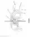 Fig. 02 - NON-DIRECTIONAL TRANSDUCER