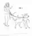 Fig. 02 - Storage pouch with channel for interchangeably coupling to a leash on a pet or other animal equipment