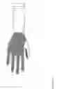 Fig. 06 - AMBIDEXTROUS FISH SCALE-TEXTURED GLOVE