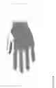 Fig. 15 - AMBIDEXTROUS FISH SCALE-TEXTURED GLOVE