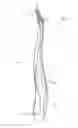 Fig. 03 - Device for cleaning the mouth or teeth