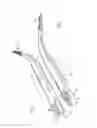 Fig. 06 - Device for cleaning the mouth or teeth
