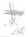 Fig. 13 - Shower caddy with shelf adjustably maounted along an elongate support member