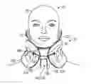 Fig. 01 - Travel pillow