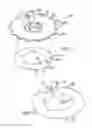 Fig. 02 - Decorative Wreath Device