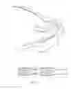 Fig. 08 - Kitchen utensil with compound hinge
