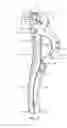 Fig. 13 - Kitchen utensil with compound hinge