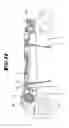 Fig. 09 - Electrically operated kitchen appliance