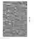 Fig. 09 - Durable multi-layer high strength polymer composite suitable for implant and articles produced therefrom