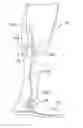Fig. 01 - ELECTRONICALLY CONTROLLED PROSTHETIC SYSTEM