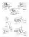 Fig. 03 - Multi-vector traction device for the lumbar spine
