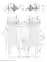 Fig. 03 - Apparatus and method for manufacturing absorbent articles