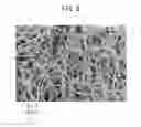 Fig. 06 - Absorbent article