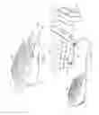 Fig. 08 - Configurable air diffusion body supports