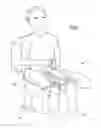 Fig. 05 - ABDOMINAL SUPPORT APPARATUS