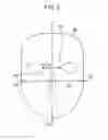 Fig. 06 - Massage apparatus and massage method
